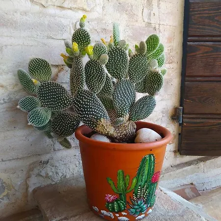 Il Girasole